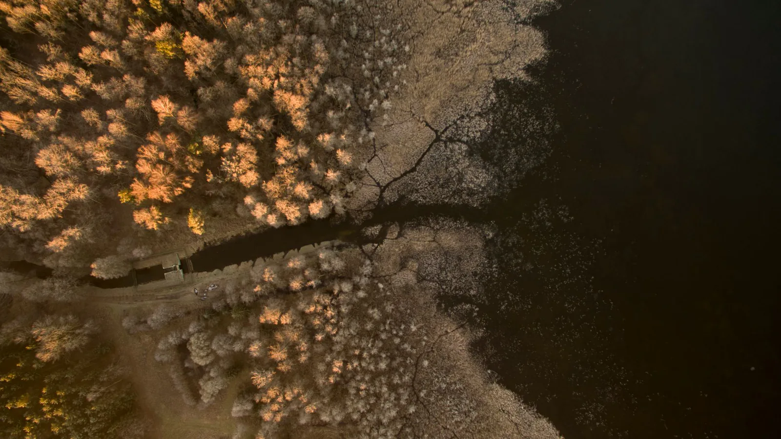 Aerial view of a Polish lake and forest landscape at dawn